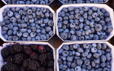 Creative Strategies to Boost Berry Sales in Your Market